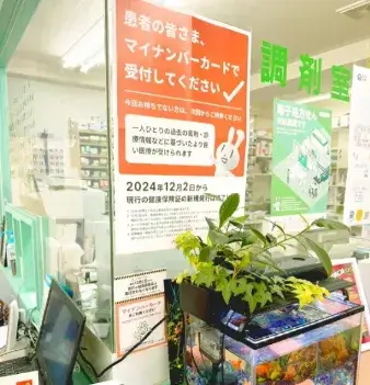 かかりつけ薬剤師イメージ...
